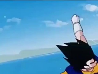 Vegito vs Super Buu Gohan